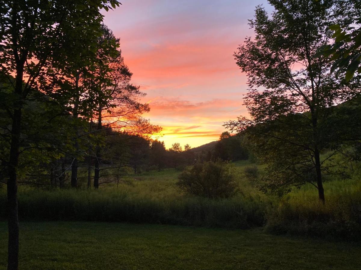 Maples Retreat - 2 Acres - Fireplace إليكوتفيل المظهر الخارجي الصورة